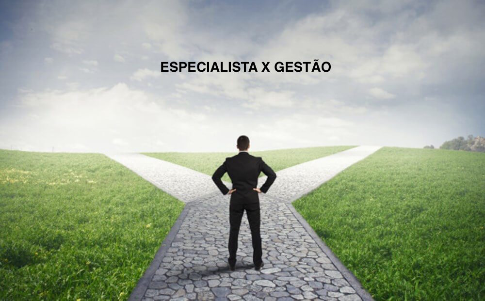 Como saber que carreira profissional devo seguir